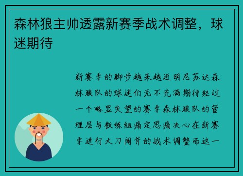 森林狼主帅透露新赛季战术调整，球迷期待