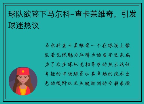 球队欲签下马尔科-查卡莱维奇，引发球迷热议